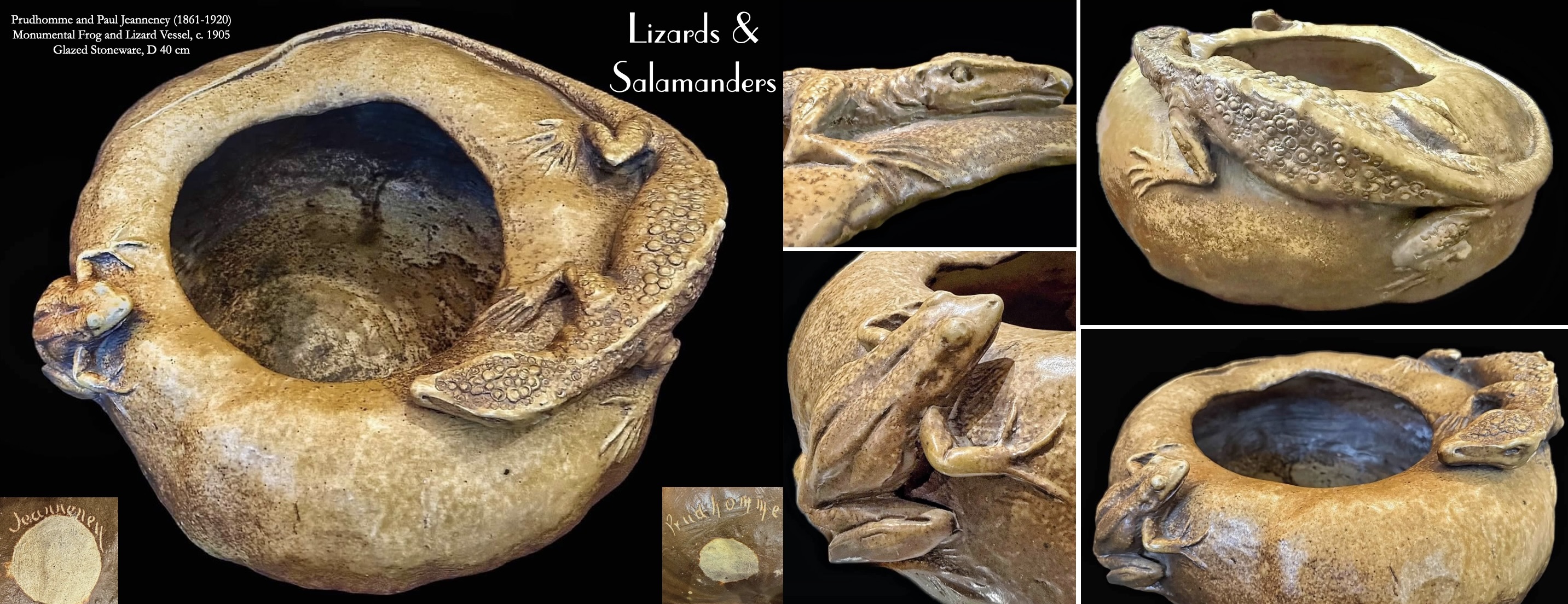 Lizards & Salamanders