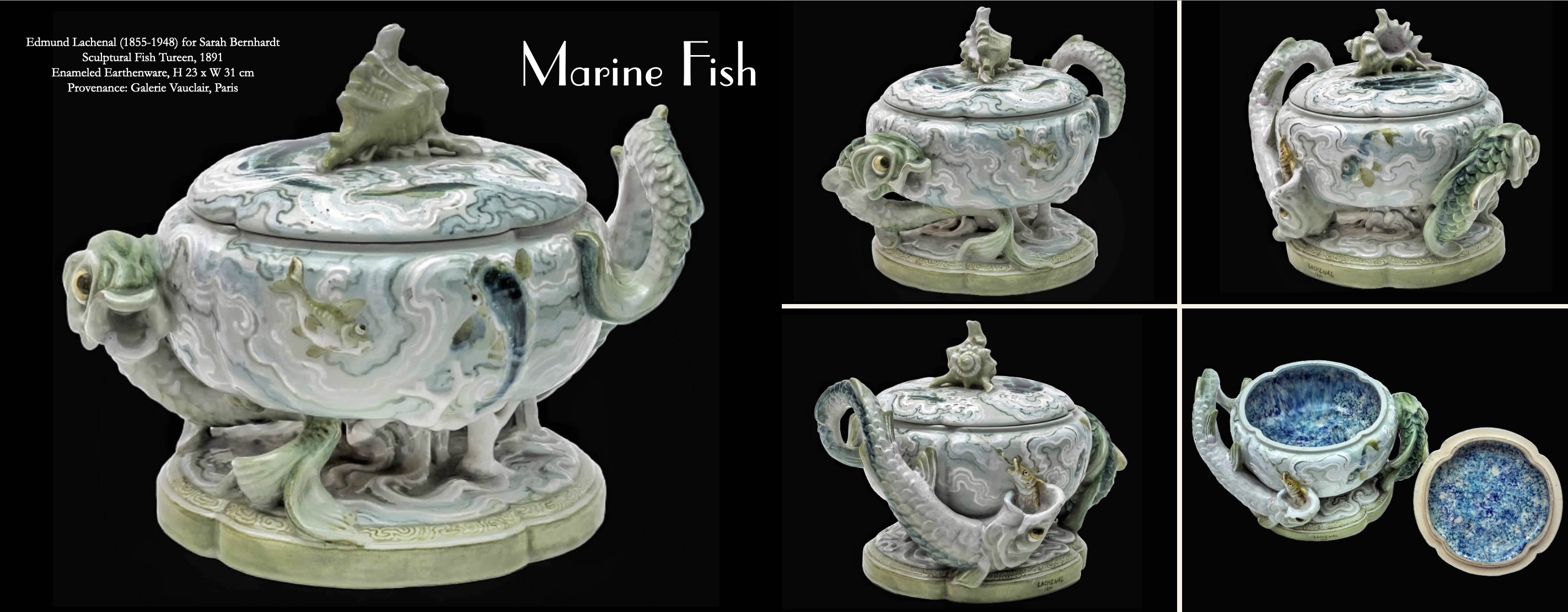 Marine Fish