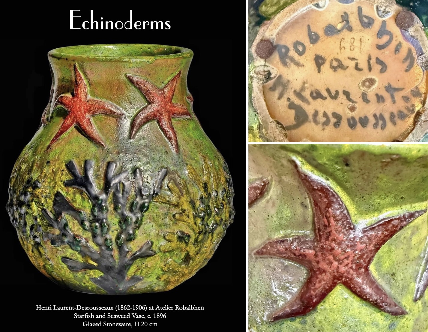 Echinoderms