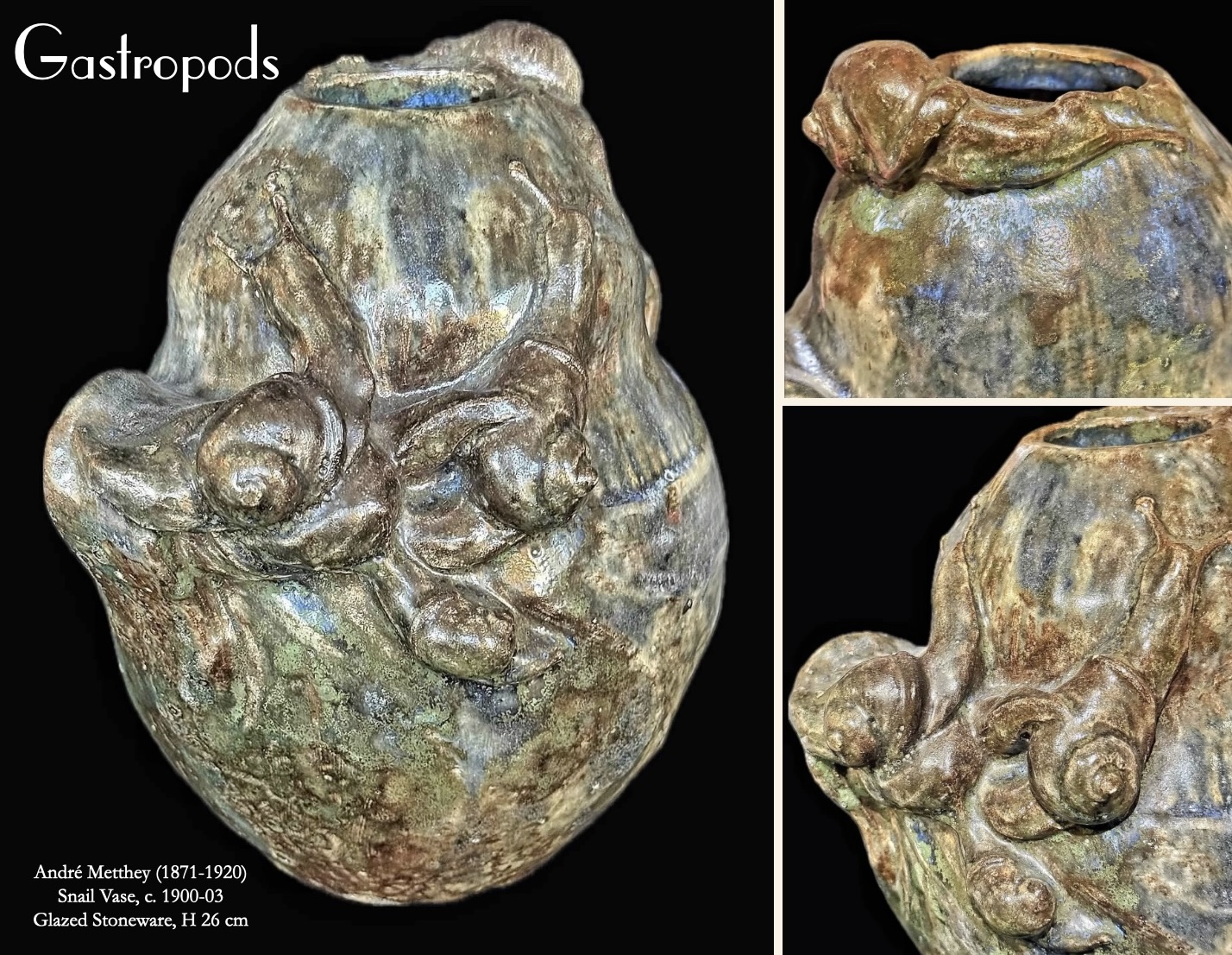 Gastropods