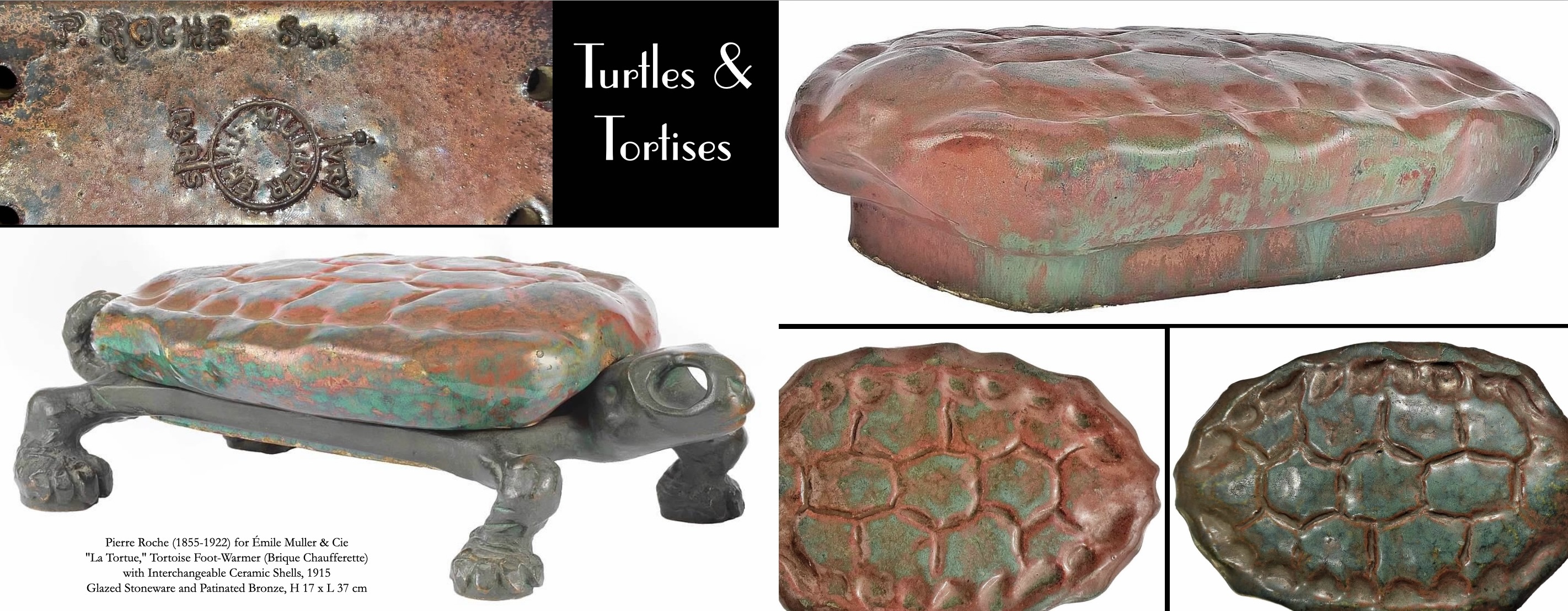 Turtles & Tortoises