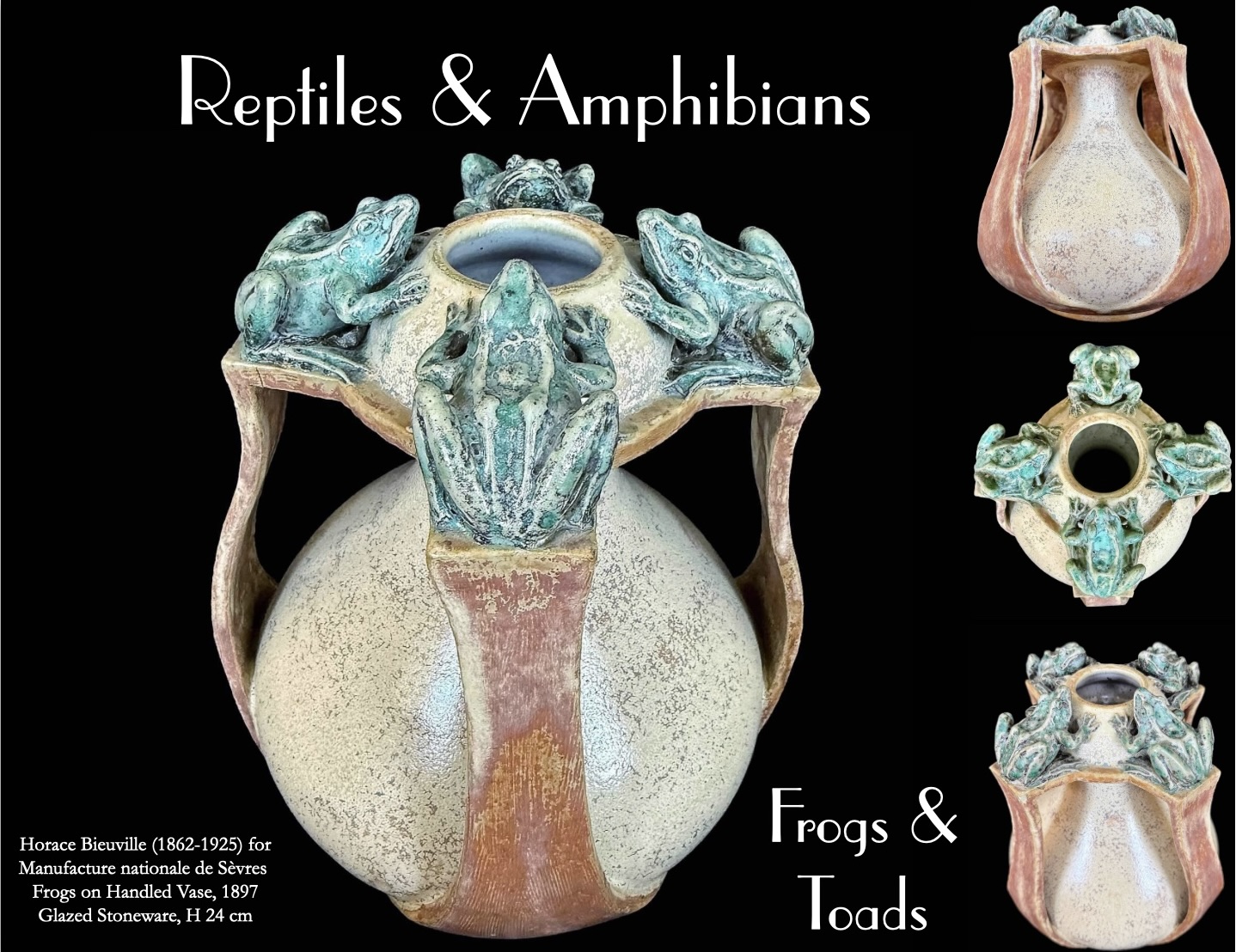 Frogs & Toads