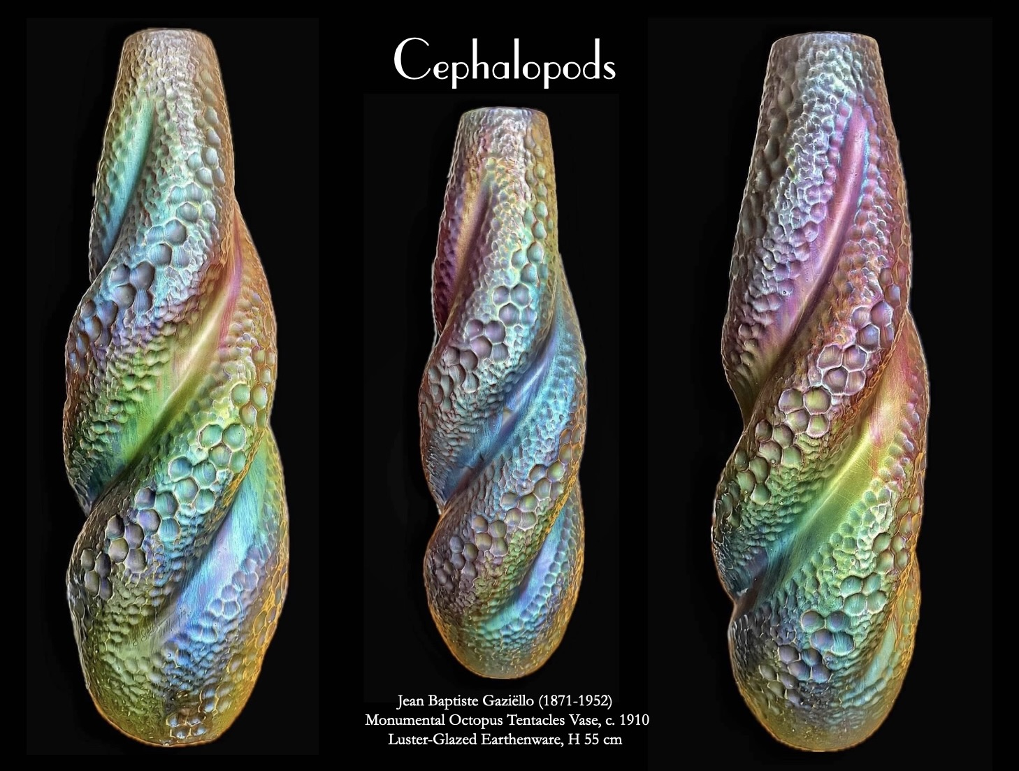 Cephalopods